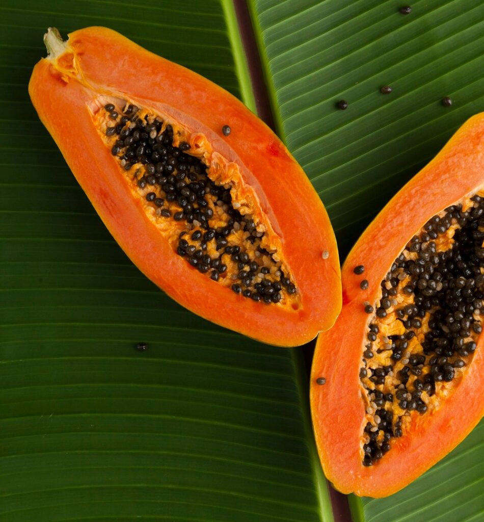 Papaya