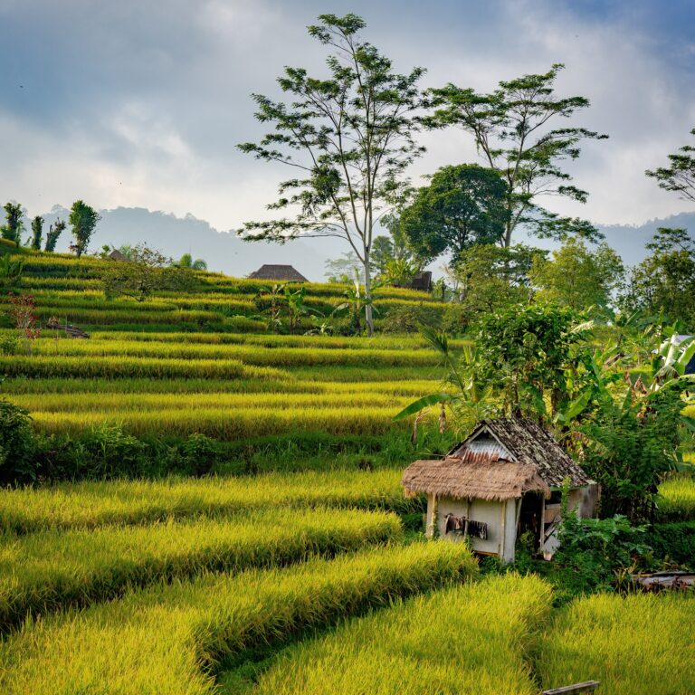 Bali indonesia