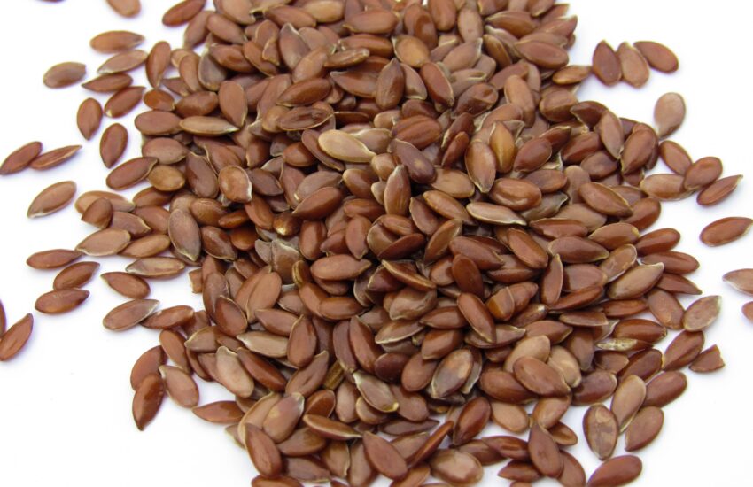 How to have Flax seeds in winters and its benefits : Mohit Tandon Texas