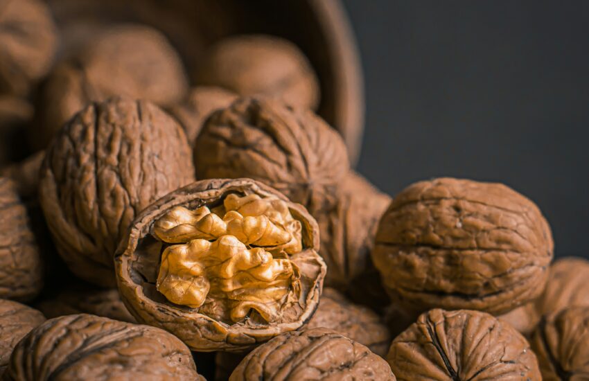 Walnuts : Health Benefits