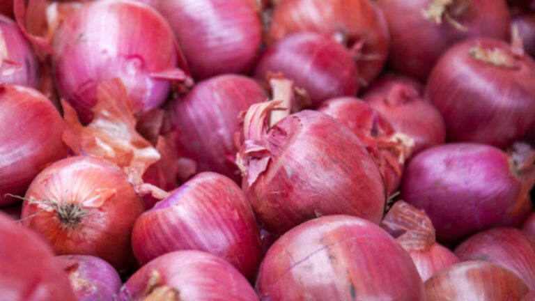 Health Benefits of Onions