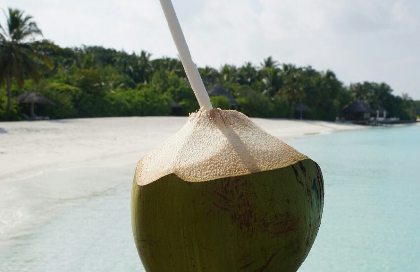 Health Benefits of Coconut Water